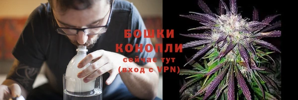гидра Аркадак