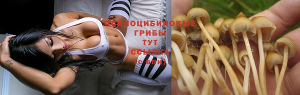 гидра Аркадак