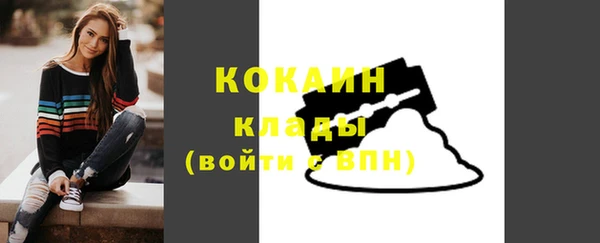 гидра Аркадак