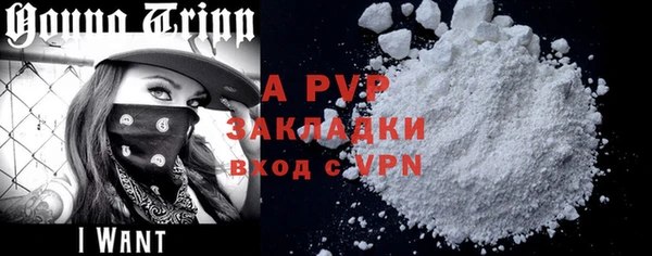 гидра Аркадак